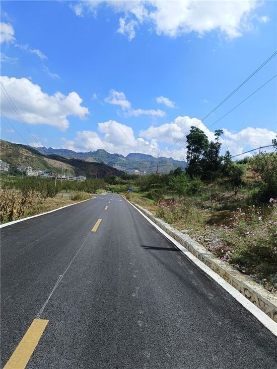 粤黔协手结"硕果" 镇宁22万亩蜂糖李将上市_新浪广东_