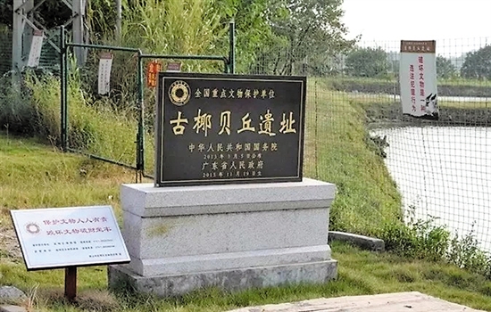 佛山高明五千年古椰贝丘遗址将创建国家考古遗址公园