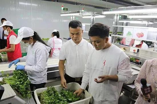 村长李锐到惠州四季绿农业公园 见证每一个健康承诺