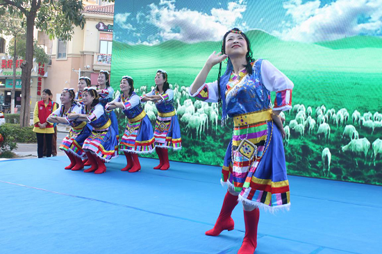 舞蹈《康巴情》