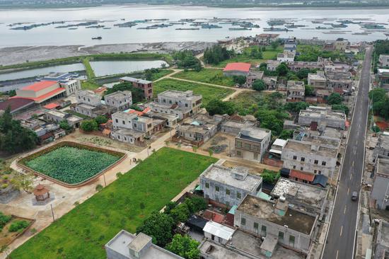 顺德 正文  三吉村是雷州市东里镇的一个靠海的小村落,海岸线约4公里