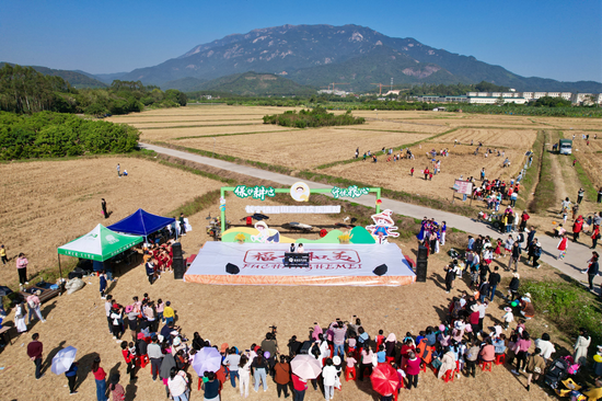 保护耕地 守住粮心—长宁镇举办稻田音乐欢乐派对