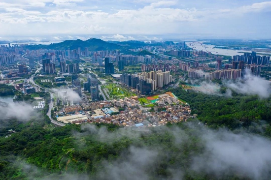 光影中的乡愁与新变黄阁镇摄影大赛获奖结果揭晓