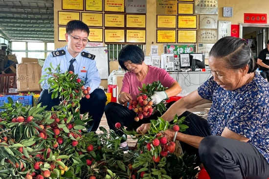 广州市增城区税务干部走进东林果园(拍摄:梁晓红)