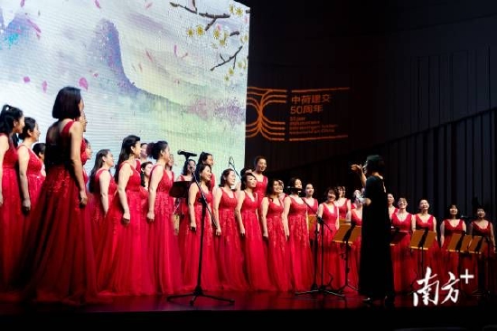 十六分音符女声合唱团亮相 “万水千山总是情”庆祝中荷建交50周年的线上音乐会