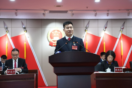 龙江镇党委副书记、镇长伍成亮向大会作政府工作报告