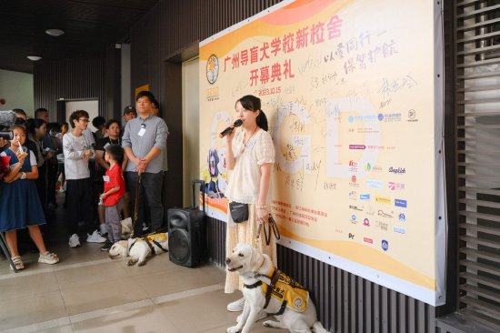广州导盲犬训练基地图片