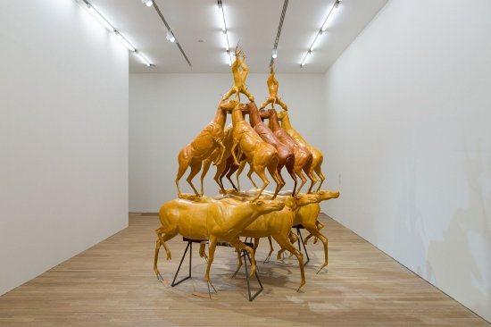 Animal Pyramid