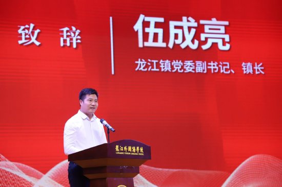 龙江镇党委副书记、镇长伍成亮发言