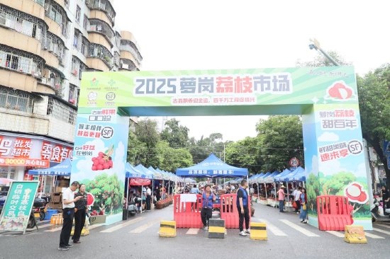 近日,拥有近六百年历史的黄埔萝岗荔枝市场正式开市