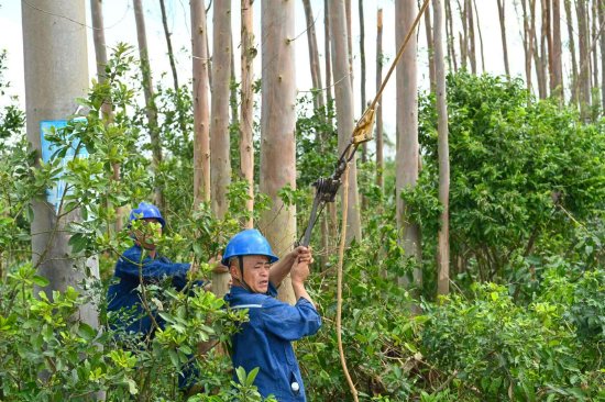 10月7日,南方电网贵州凯里岑巩供电局抢修人员在广东省廉江市横山镇10千伏峥角溪黄村支线开展电杆校正及紧固拉线等消缺工作。