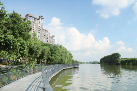 畔,空间均衡,系统治理,两手发力"的新时代水利工作方针,顺德区通过