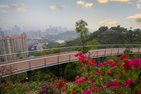 板樟山山地步道ip形象大评选等你来投票
