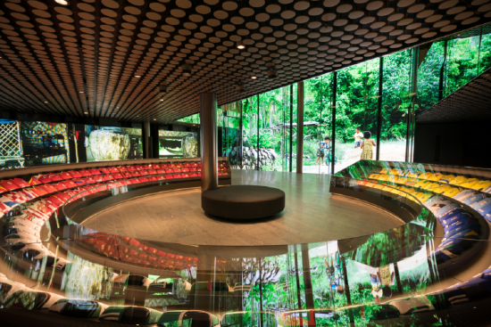 把足球魅力带到亚洲 FIFA博物馆将于香港举办特别展览