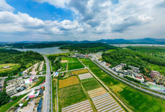 国家乡村振兴局开发指导司副司长刘晓山到广州市花都区调研全面推进