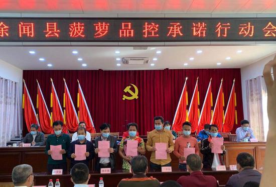 万户菠萝果农签下军令状徐闻县菠萝品控承诺行动会举行