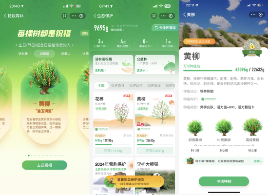 登陆蚂蚁森林即可申领黄柳，一起守护大自然