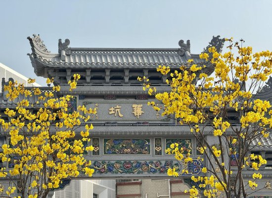 有六百多年历史的华坑村