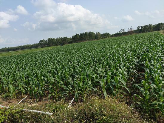 顺德扶贫:不忘初心谋脱贫,亲力亲为暖民心