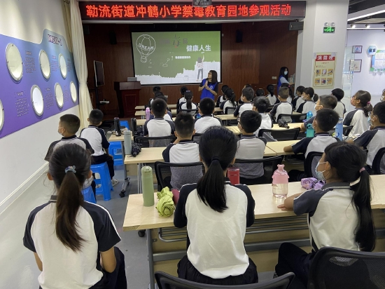 构建平安顺德勒流冲鹤小学参观禁毒教育园地