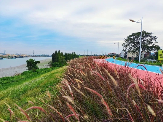 河岸风光