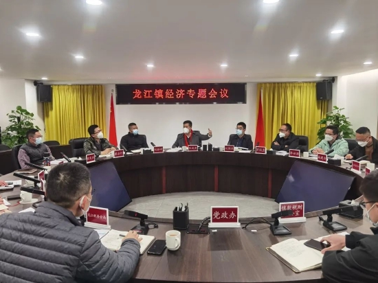 镇党委副书记、镇长伍成亮组织召开全镇经济工作会议