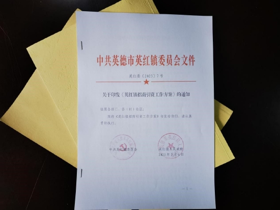 英红镇招商引资工作方案