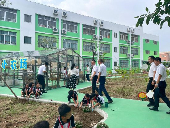 镇党委书记龙仲英,镇党委副书记、镇长伍成亮一行参观小农场