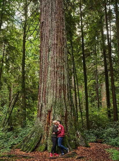 斯坦利公园 图片来源：加拿大旅游局