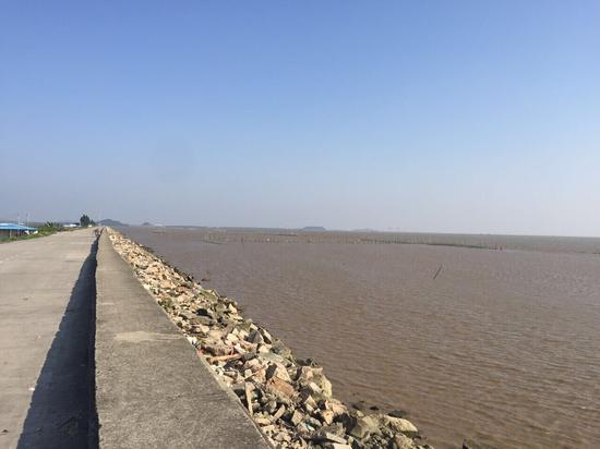 中山南朗崖口村格桑花海看开往春天的列车