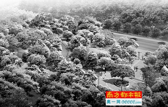 东莞又增一休闲运动好去处黄旗山将通将军帽公园