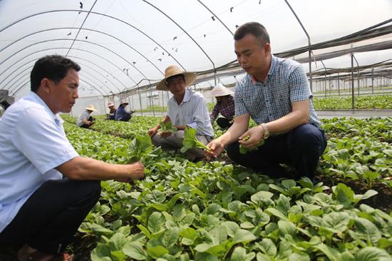 四季绿品牌创始人张宋