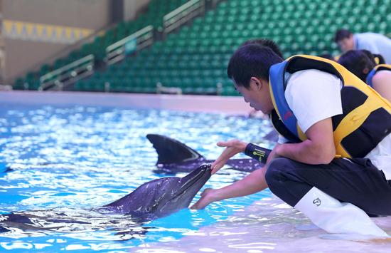 绿会第一支鲸豚类救护队在珠海长隆海洋王国成立