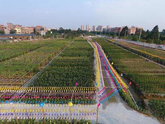 同时,在东莞市古梅西园农业生态园还将举办珠三角特色农业良种展示会.