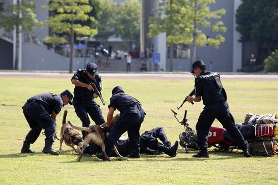 中山警方依托大数据跨省追捕 4名嫌犯全归案