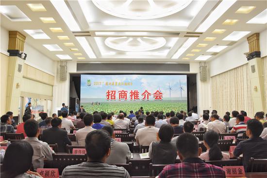 徐闻招商推介会在湛江举行 徐闻与海口义结金兰