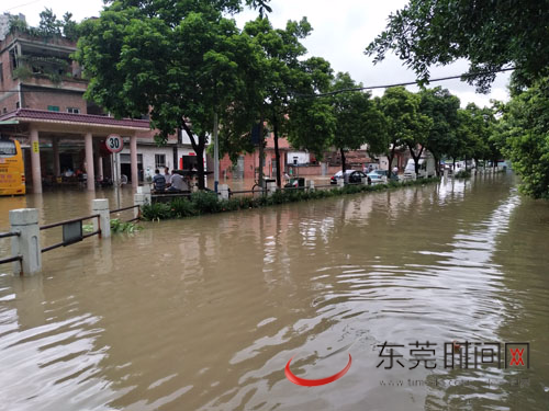 道滘镇政府立即启动三防紧急预案做好防御,镇领导谢卫东,陈旭林也靠前