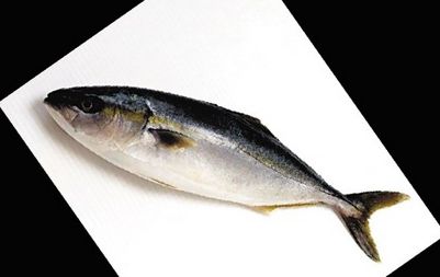 吃沙丁鱼鲑鱼小心中毒 分享挑选青皮红肉鱼的技巧