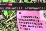 肇庆一家人祭祖连拜错两年被人贴纸条劝退