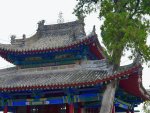 碑林造像寻仙迹