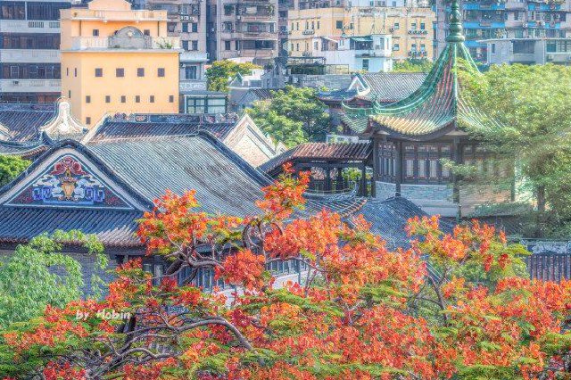 鳳凰花開(kāi)永慶坊