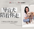 专访丨导盲犬学校校长