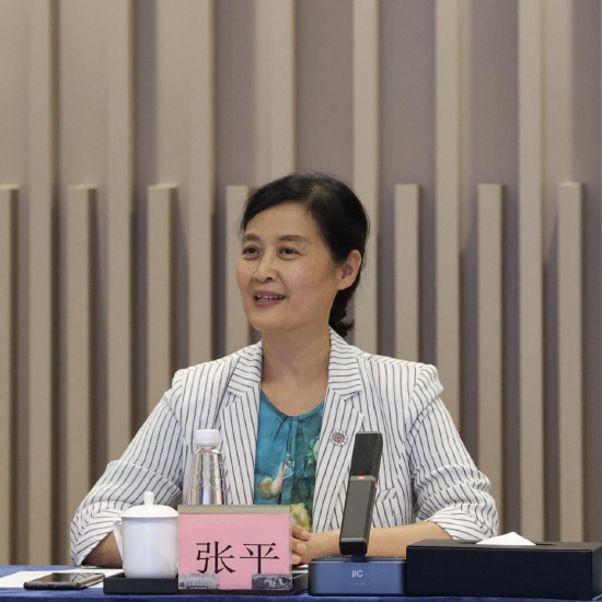 北京大学法学院教授、京大学粤港澳大湾区知识产权发展研究院执行院长张平致辞