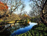 广州：一半烟火一半诗意的花城