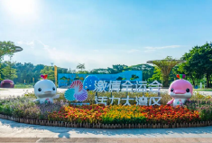 在南沙街头与喜洋洋和乐融融“邂逅”