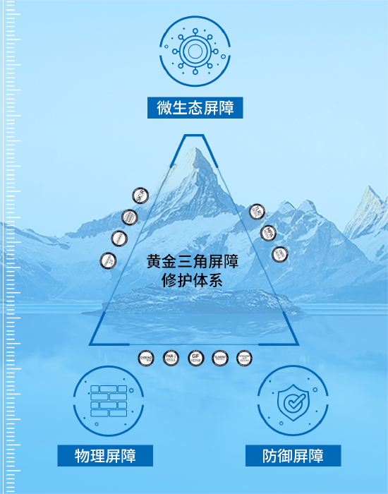 黄金三角屏障修护体系图解