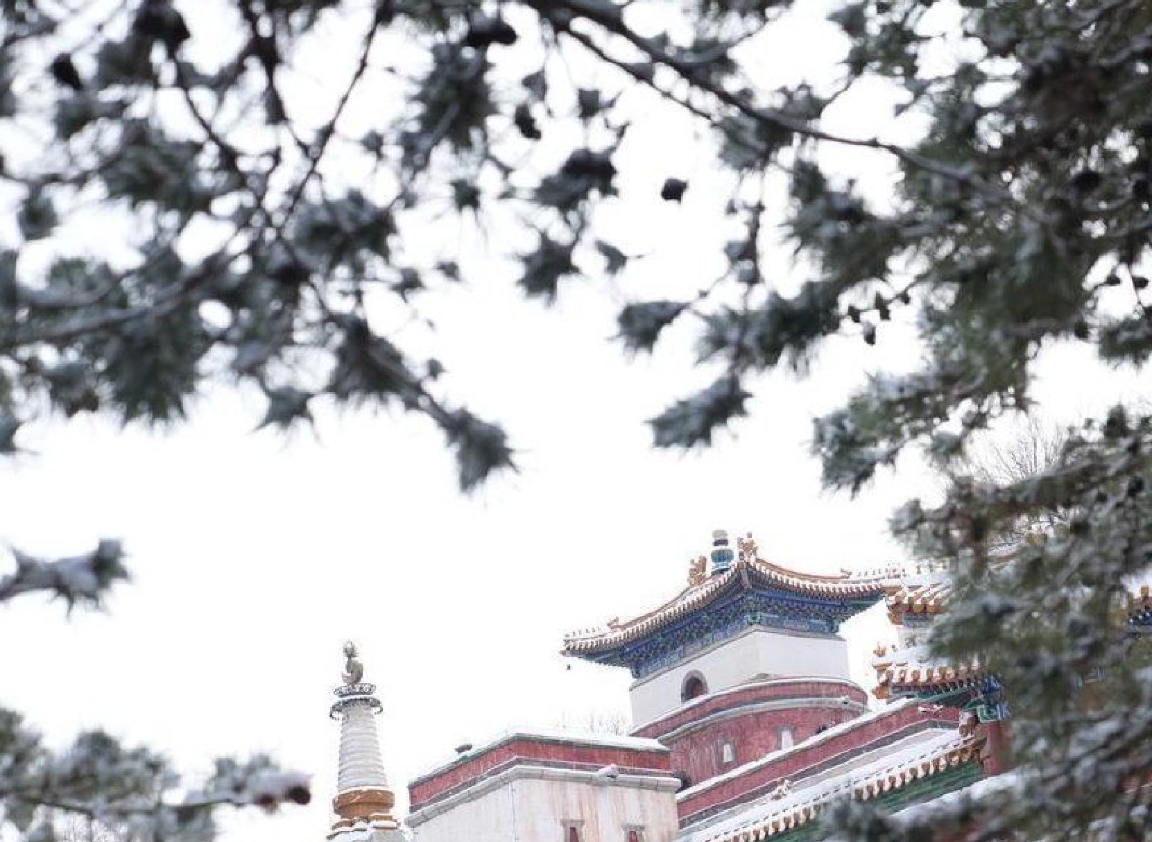 （社会）颐和园琼楼玉宇美若仙境