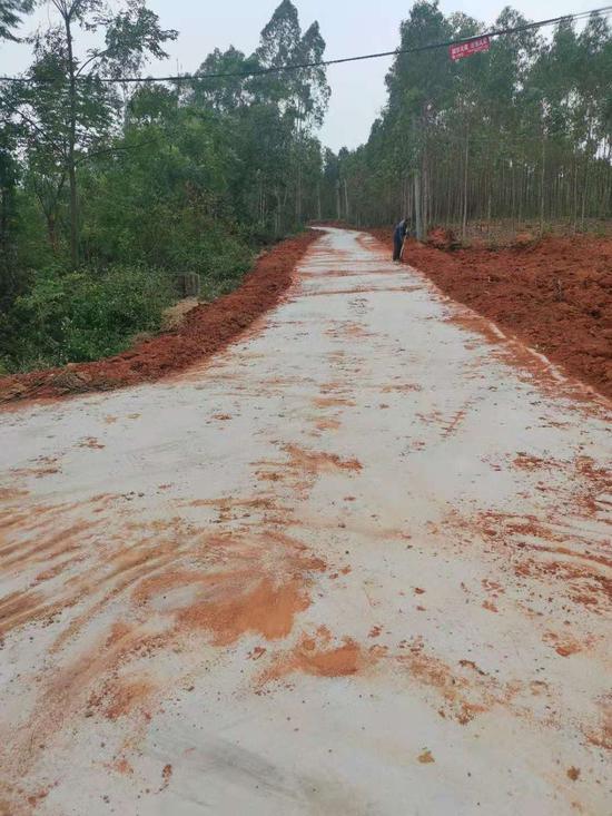 土塘村打造312亩红薯示范基地 种出脱贫致富"火红产业"