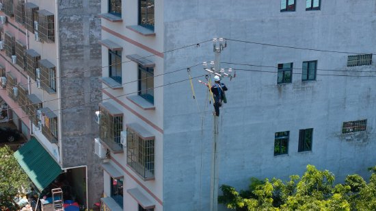 7月12日，南方电网广东江门供电局支援队伍修复10千伏场部2线西一支线。 （张晓杰 摄）