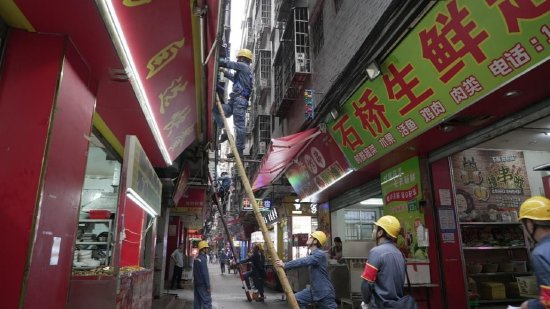 广州黄埔供电局作业人员在石桥村进行新瓷瓶的安装工作（陈尚恒 摄）